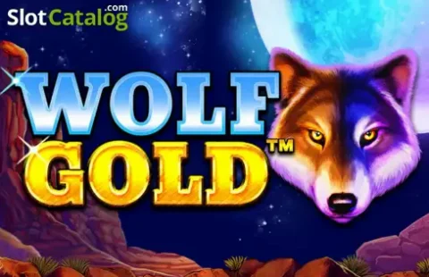 Wolf pack under full moon